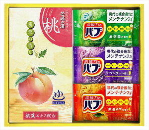 炭酸力の薬用入浴剤セット BB10 内祝 内祝い お祝 御祝 記念品 出産内祝い プレゼント 快気祝い 粗供養 引出物