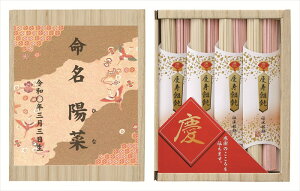 cт̂߂߂ c-10N Mtg   Ε 䌩   OXC[c