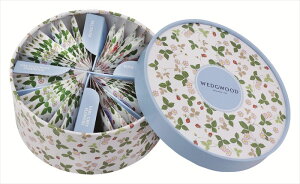 EFbWEbh ChXgx[eB[obO WSN-36P Mtg   Ε 䌩   OXC[c