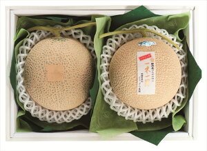 _Cʉ }XN Mtg   Ε 䌩   OXC[c