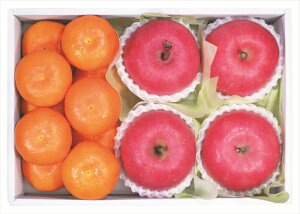 XTӂ+a̎RLc݂ Mtg   Ε 䌩   OXC[c