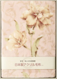 {ANj[}C[ѕziщHj BSM-88 j j j j LOi oYj v[g Cj e{ o