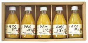 ɓ_ 100%sAW[X5{MtgZbg 50705g-2 j j j j LOi oYj v[g Cj e{ o