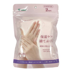 ێPA ȂĂԂ2Zbg 603 NX}X x  NNn ̑i ei }t