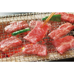 Od ㋍oēpi600gj 3070075 NX}X x  NNn ̑i ei }t