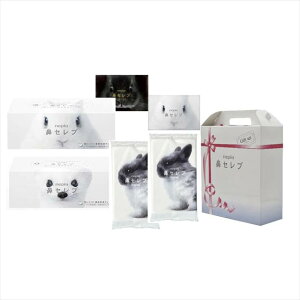 lsA@ZuMtgZbgWIDE5 NHS-2002209 ii LOi ei mxeB  䈥A A