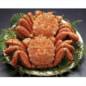 kCY{Cт2800g 400*2 ii LOi ei mxeB  䈥A A