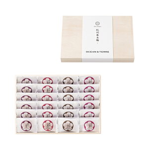 Premium@IB썂~@24@@ؔ@uC_ LOi o j j v`Mtg N j j Cj