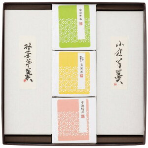 送料無料 絹ごし羊かん(抹茶・小倉)2本・宇治茶セット ※(注)沖縄・離島は配達不可 全国送料無料 お歳暮 ギフト 早割 御歳暮 2025 御見舞 お見舞い お取り寄せ グルメスイーツ