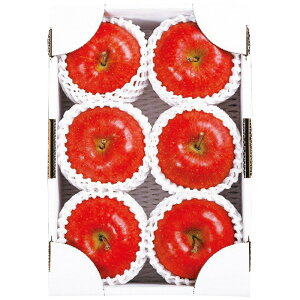  ݉̎R`YTӂGi2kg 12{肨͂ɂȂ܂Bؓ12/13܂ŁB ijE͔zBs S Ε Mtg  Ε 2025 䌩 