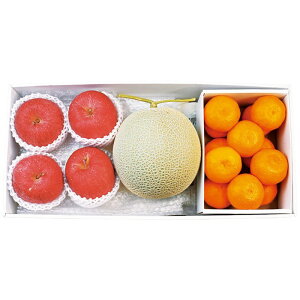 送料無料 九州産 マスクメロン&長野県産 サンフジ4玉&和歌山県産 有田みかんセット ※12月上旬よりお届けになります。ご注文締切日12/13まで。 ※(注)沖縄・離島は配達不可 全国送料無