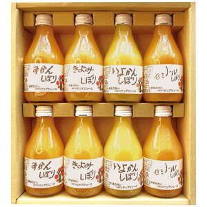  ɓ_ 100sAW[Xl 50708ga2 ijE͔zBs S Ε Mtg  Ε 2025 䌩   OXC[c