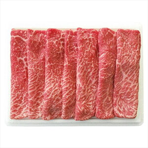 {Y R`Ԃԁ@ 2005107045 j j j j LOi oYj v[g Cj e{ o