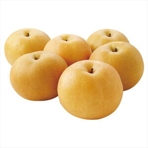 0 L2.4kg@ 0 j j j j LOi oYj v[g Cj e{ o