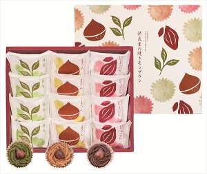  s {V aȈĂu S ΕMtg  Ε2025 䌩   OXC[c