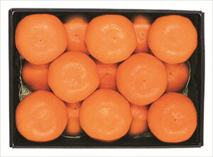  a̎RYxZT[Iʂ݂ S ΕMtg  Ε2025 䌩   OXC[c