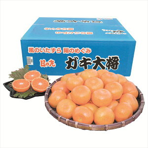  QY ̊ۂ݂uKL叫v S ΕMtg  Ε2025 䌩   OXC[c