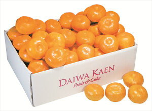  _Cʉ Q݂ S ΕMtg  Ε2025 䌩   OXC[c