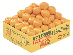  a̎RLc݂ S ΕMtg  Ε2025 䌩   OXC[c