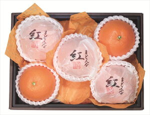  _Cʉ Qg܂ǂ S ΕMtg  Ε2025 䌩   OXC[c