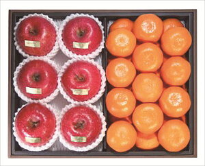  _Cʉ a̎RLc݂ETӂl S ΕMtg  Ε2025 䌩   OXC[c