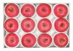  XY S ΕMtg  Ε2025 䌩   OXC[c