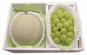  VC}XJbg&m S ΕMtg  Ε2025 䌩   OXC[c