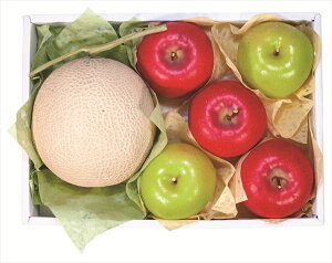  _Cʉ A[XE񂲋l S ΕMtg  Ε2025 䌩   OXC[c