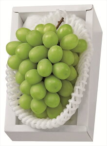  RYVC}XJbg S ΕMtg  Ε2025 䌩   OXC[c