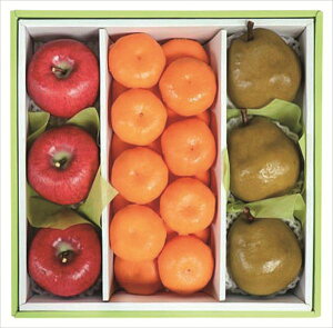  _Cʉ EC^[t[cl S ΕMtg  Ε2025 䌩   OXC[c