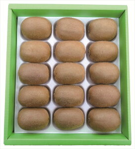   ÏnijLEC S ΕMtg  Ε2025 䌩   OXC[c