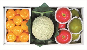  _Cʉ EC^[t[cXyV S ΕMtg  Ε2025 䌩   OXC[c