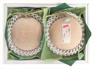  _Cʉ }XNl S ΕMtg  Ε2025 䌩   OXC[c