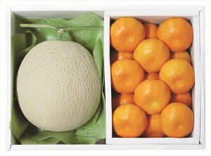  _Cʉ A[XE݂l S ΕMtg  Ε2025 䌩   OXC[c