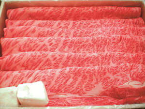  ꋍ Ă S ΕMtg  Ε2025 䌩   OXC[c