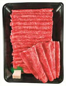  ݖa ĂEԂԗp S ΕMtg  Ε2025 䌩   OXC[c