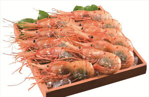  kCڂ񂦂 S ΕMtg  Ε2025 䌩   OXC[c