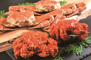  kC2傪ɃZbg S ΕMtg  Ε2025 䌩   OXC[c