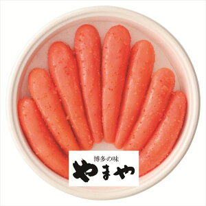  ܂ Fhqq S ΕMtg  Ε2025 䌩   OXC[c