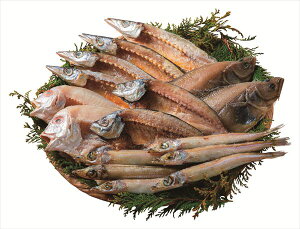  RACN銱Zbg S ΕMtg  Ε2025 䌩   OXC[c