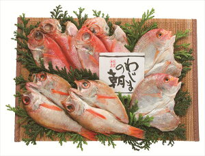  킶܂̒ ԋZbgîǂj S ΕMtg  Ε2025 䌩   OXC[c