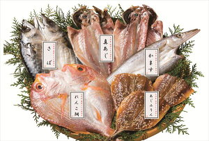  BYCNЂ̋l S ΕMtg  Ε2025 䌩   OXC[c