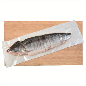  Hg؂g S ΕMtg  Ε2025 䌩   OXC[c