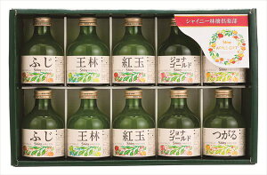  VCj[ Xiʂ񂲃Xg[gW[XMtg SY-B S ΕMtg  Ε2025 䌩   OXC[c