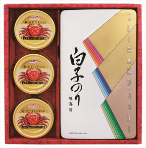  q CہEɊʋl SN-300 S ΕMtg  Ε2025 䌩   OXC[c