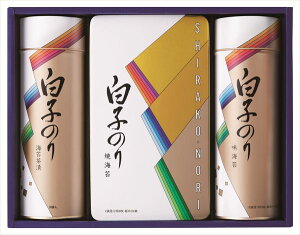  q CہEЂl SA-300 S ΕMtg  Ε2025 䌩   OXC[c