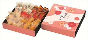  ǂ؂̂ IR-DN S ΕMtg  Ε2025 䌩   OXC[c