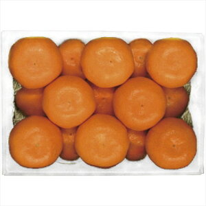  _Cʉ QY ݂Ȃ݂̂ EHM-42RW S ΕMtg  Ε2025 䌩   OXC[c