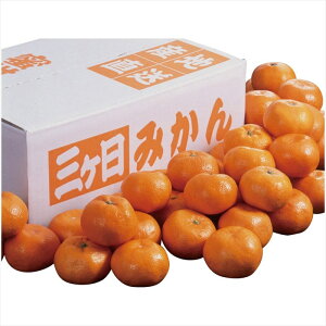  ÉY OP݂ YO-569 S ΕMtg  Ε2025 䌩   OXC[c