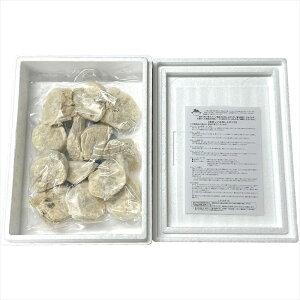  TCYt[Y ^ӂ̓g SRF-NK-25 S ΕMtg  Ε2025 䌩   OXC[c